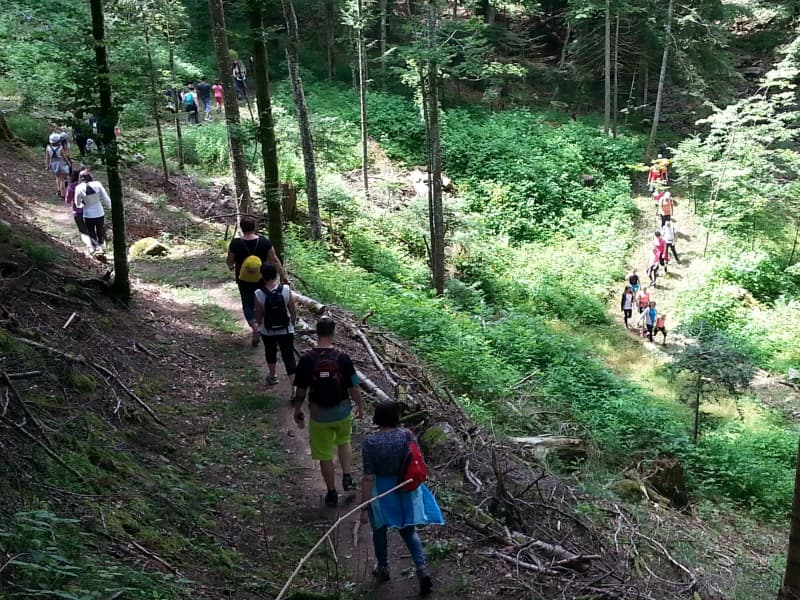 Journée de la gym